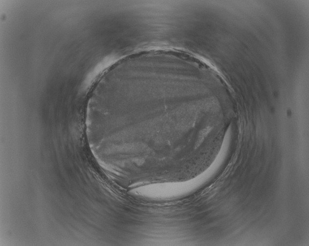 X0000068891359200605261835