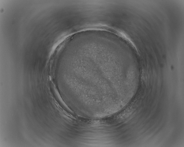 X0000068891360200605261835