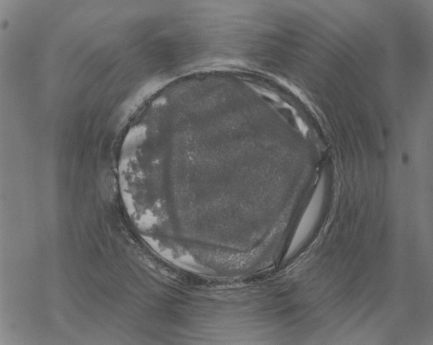 X0000068891363200605261835