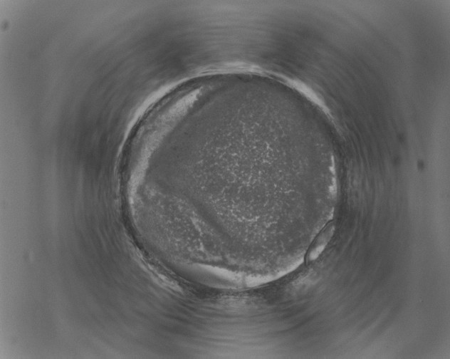 X0000068891364200605261835