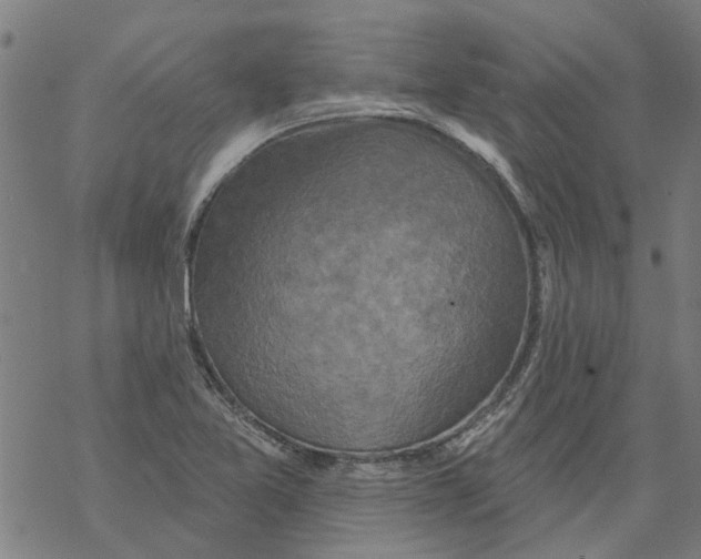 X0000068891365200605261835