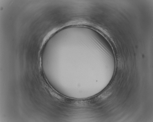 X0000068891366200605261835