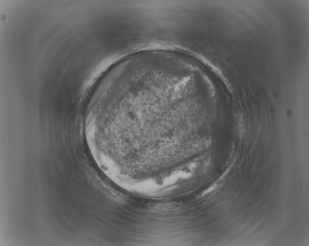 X0000068891367200605261835