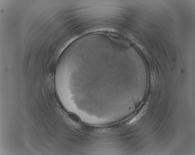 X0000068891369200605261835