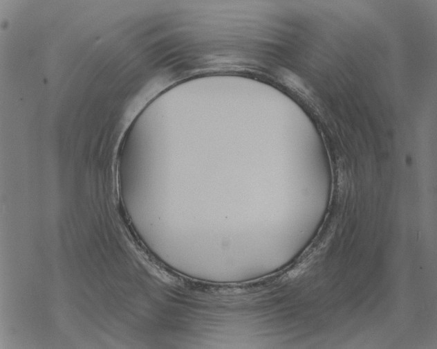 X0000068891370200605261835