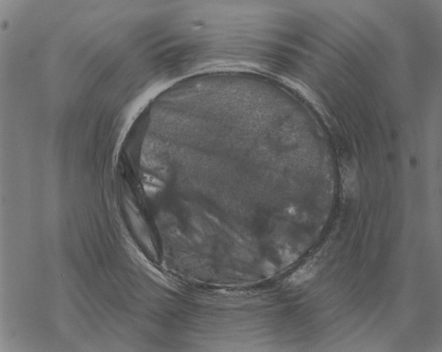 X0000068891371200605261835