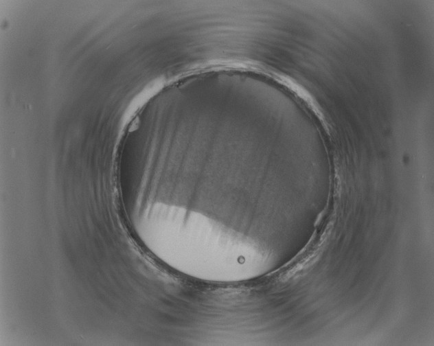 X0000068891373200605261835