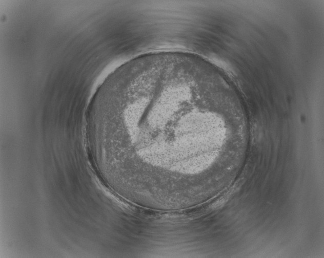 X0000068891374200605261835