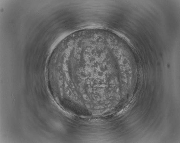 X0000068891375200605261835