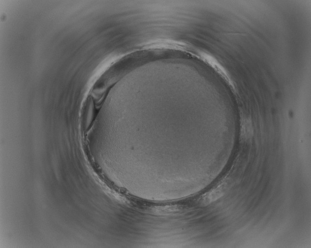 X0000068891376200605261835