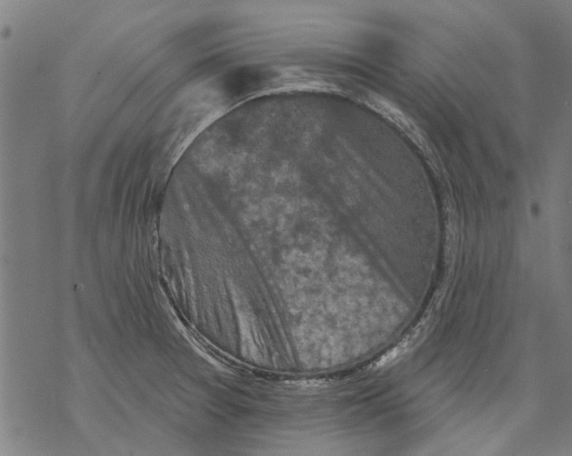 X0000068891377200605261835