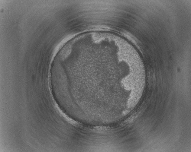 X0000068891379200605261835