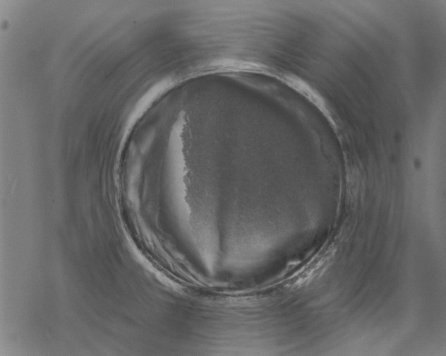 X0000068891381200605261835