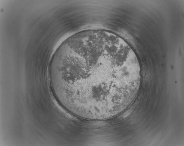 X0000068891382200605261835