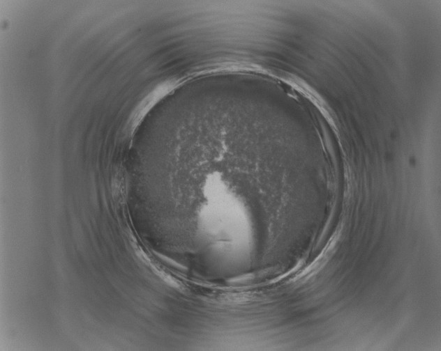 X0000068891385200605261835