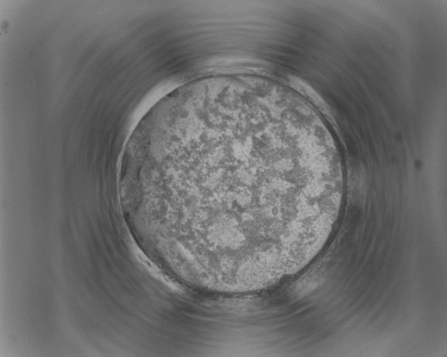 X0000068891386200605261835