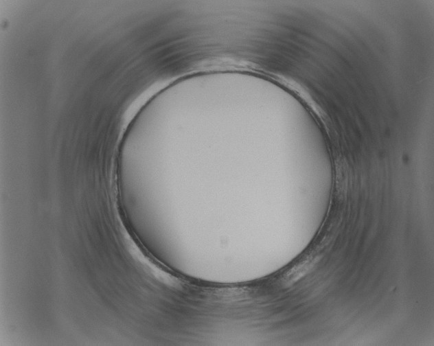 X0000068891387200605261835