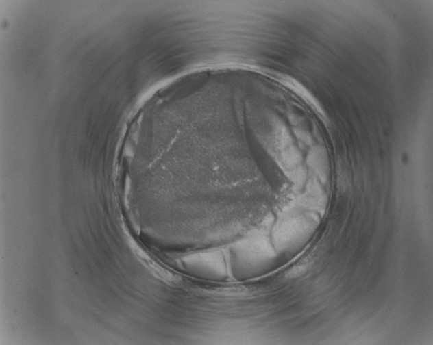 X0000068891388200605261835