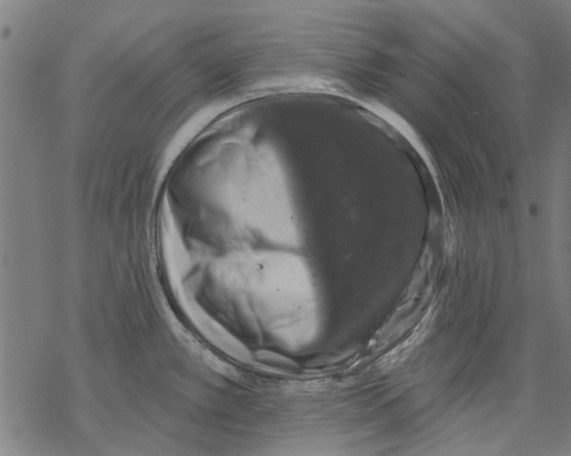 X0000068891389200605261835