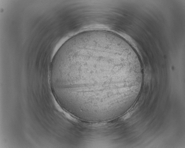 X0000068891390200605261835