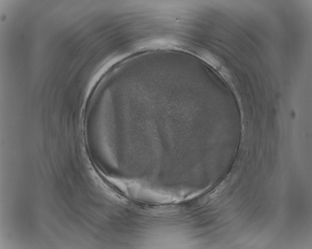 X0000068891392200605261835