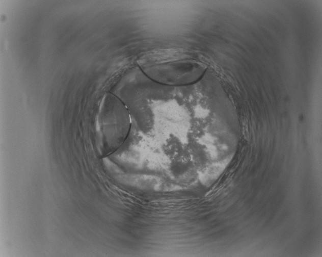 X0000068891393200605261834