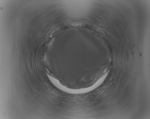 X0000068891394200605261834