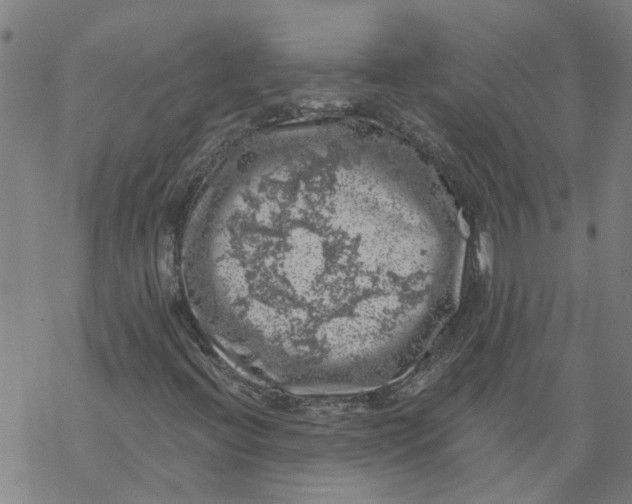 X0000068891396200605261834