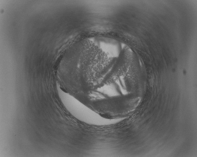 X0000068891397200605261834