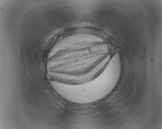 X0000068891398200605261834