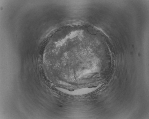 X0000068891399200605261834