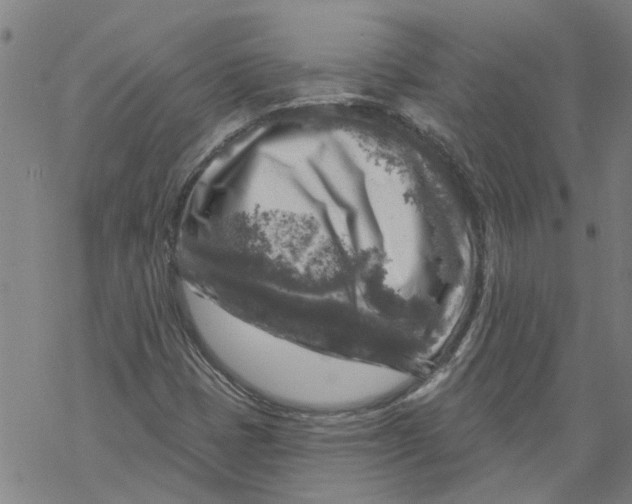 X0000068891401200605261834