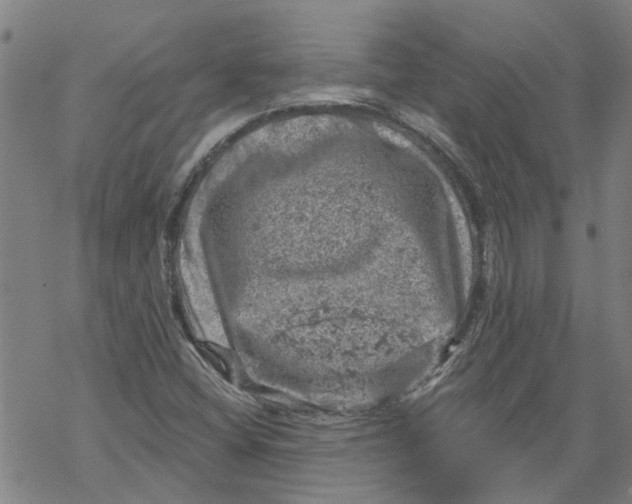 X0000068891404200605261834