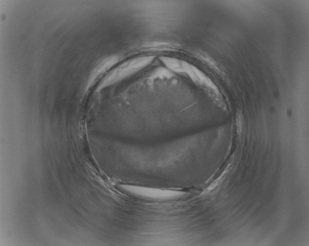 X0000068891405200605261834