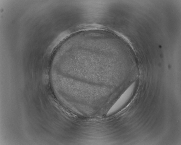 X0000068891407200605261834