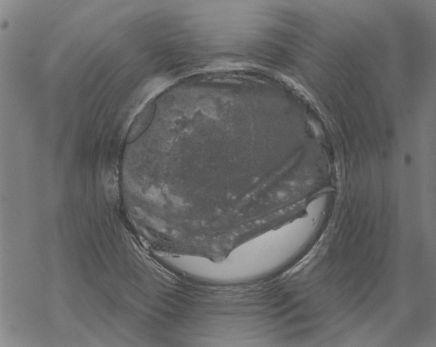 X0000068891409200605261834