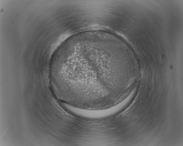 X0000068891410200605261834