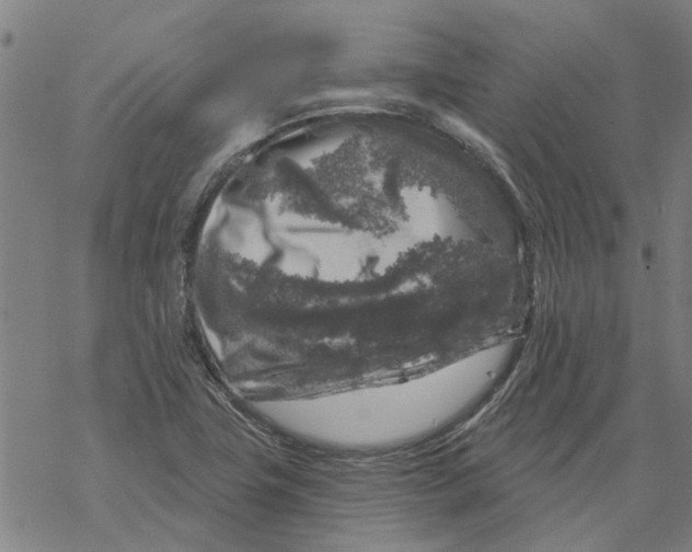 X0000068891411200605261834