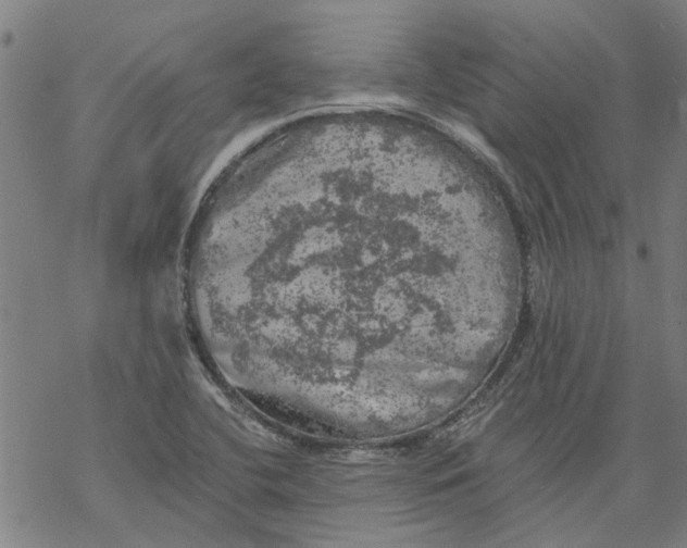 X0000068891412200605261834