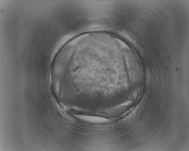 X0000068891413200605261834