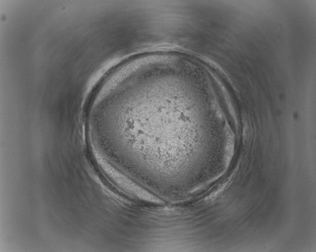 X0000068891414200605261834