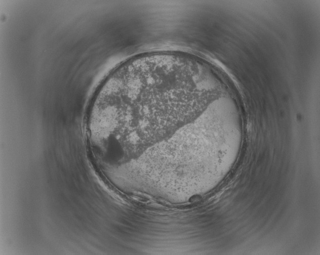 X0000068891416200605261834