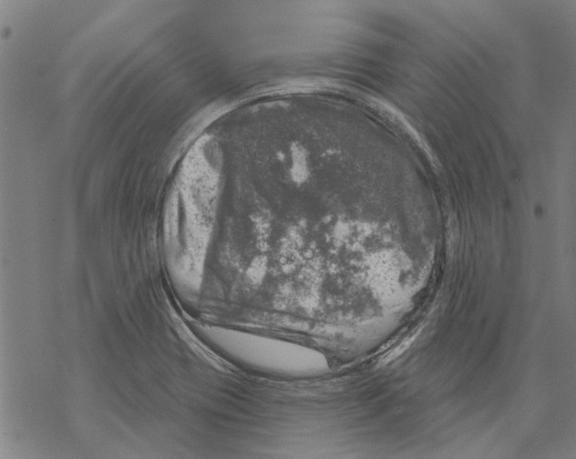 X0000068891417200605261834