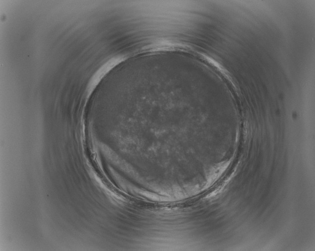 X0000068891418200605261834