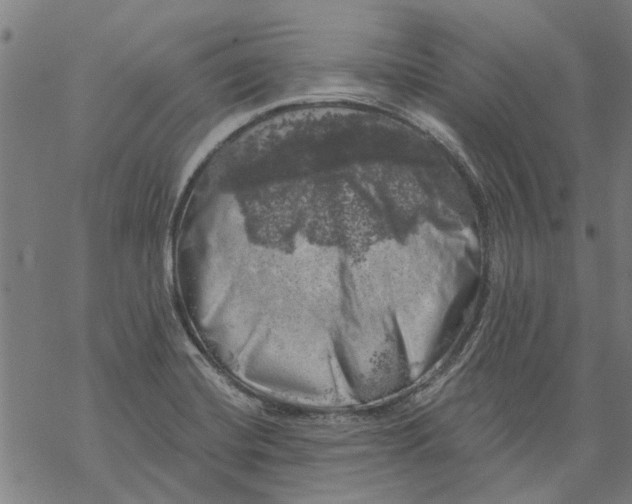 X0000068891420200605261834