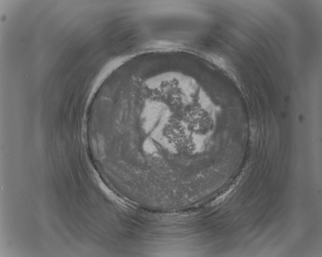 X0000068891421200605261834