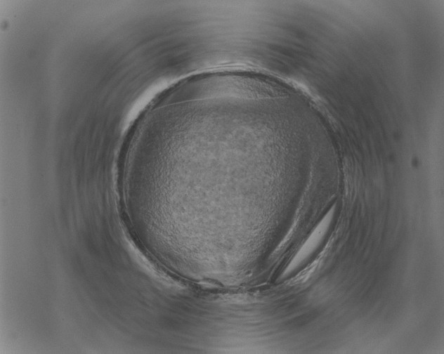 X0000068891422200605261834