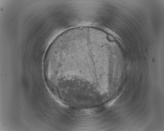 X0000068891423200605261834