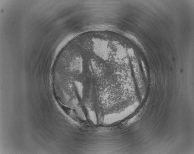 X0000068891424200605261834