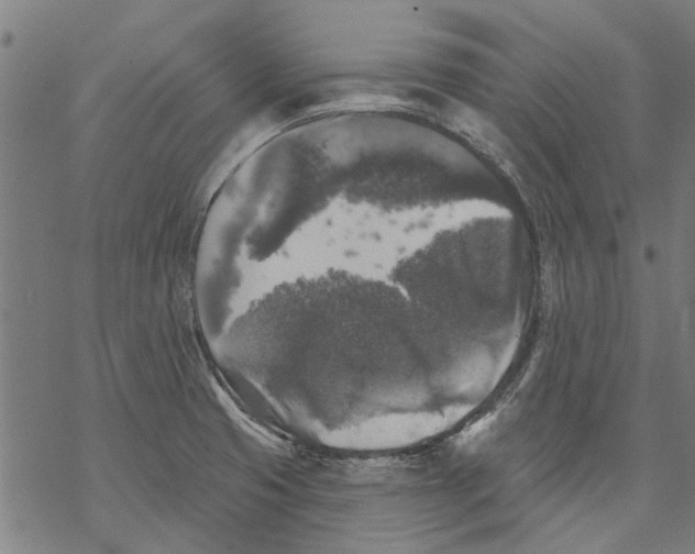 X0000068891425200605261834